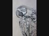 Kate Walter, Grade 10, Macaw, Charcoal