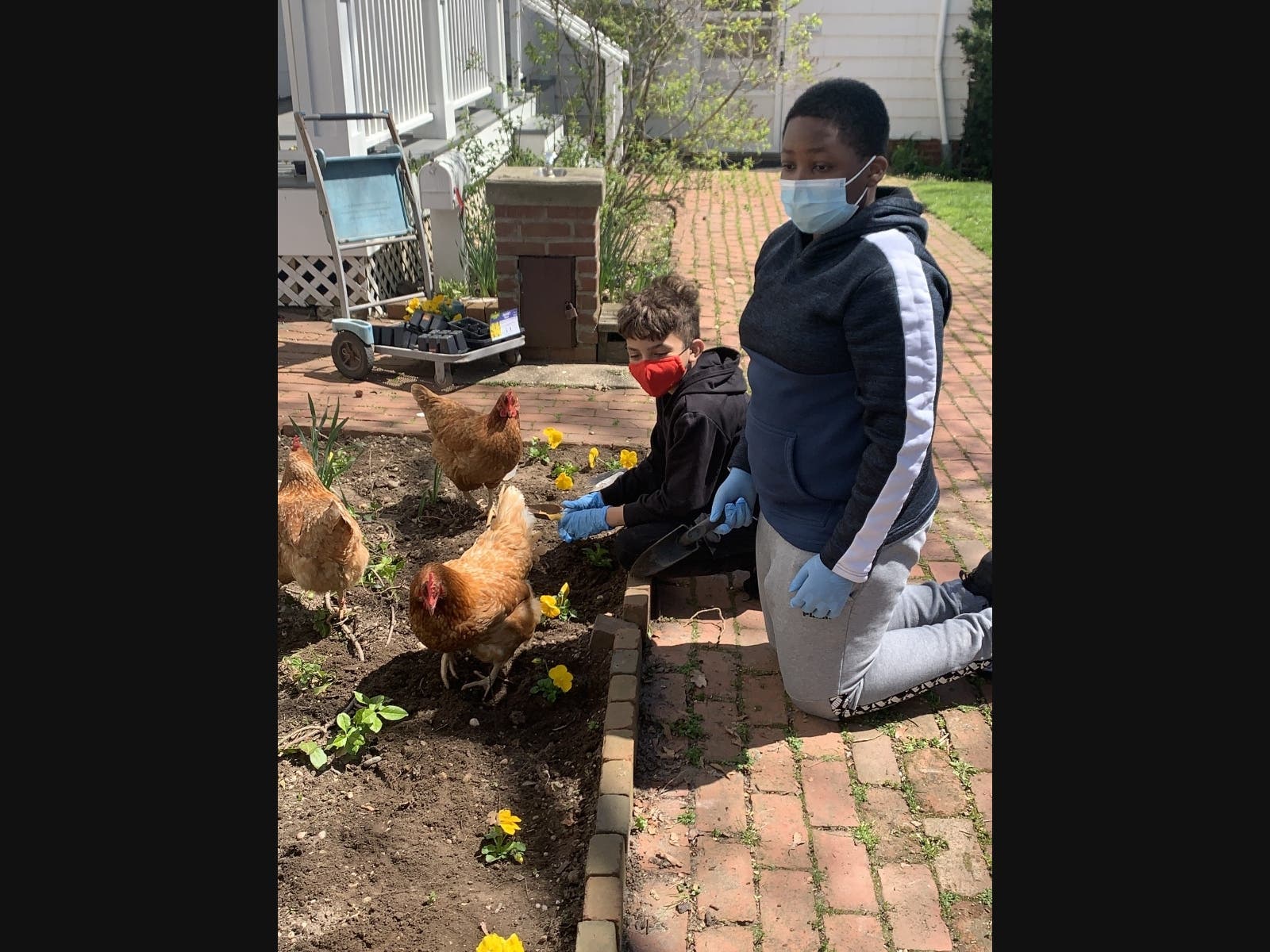 News small post card thumbnail