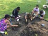 Glen Cove City School District elementary students planting their Kindness Garden to support butterfly migrations throughout Glen Cove.