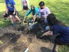 Glen Cove City School District elementary students planting their Kindness Garden to support butterfly migrations throughout Glen Cove.