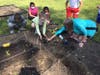 Glen Cove City School District elementary students planting their Kindness Garden to support butterfly migrations throughout Glen Cove.