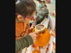 Lawrence Early Childhood Center student, Marcela T. studying the anatomy of a pumpkin