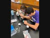 Babylon Junior-Senior High School students worked to insert a special combination of genes into E. coli bacteria. 