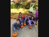 Lawrence Primary Schools’ Pumpkin Patch event

