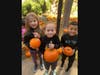 Lawrence Primary Schools’ Pumpkin Patch event
