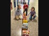 Boyle Road Elementary School students recently donated 150 boxes of cereal to the Mastic Beach-based food pantry AGAPE in honor of National Cereal Day.