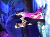 Earl L. Vandermeulen High School’s Prom
