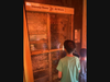 Participating children looking at the honeybees in their hive