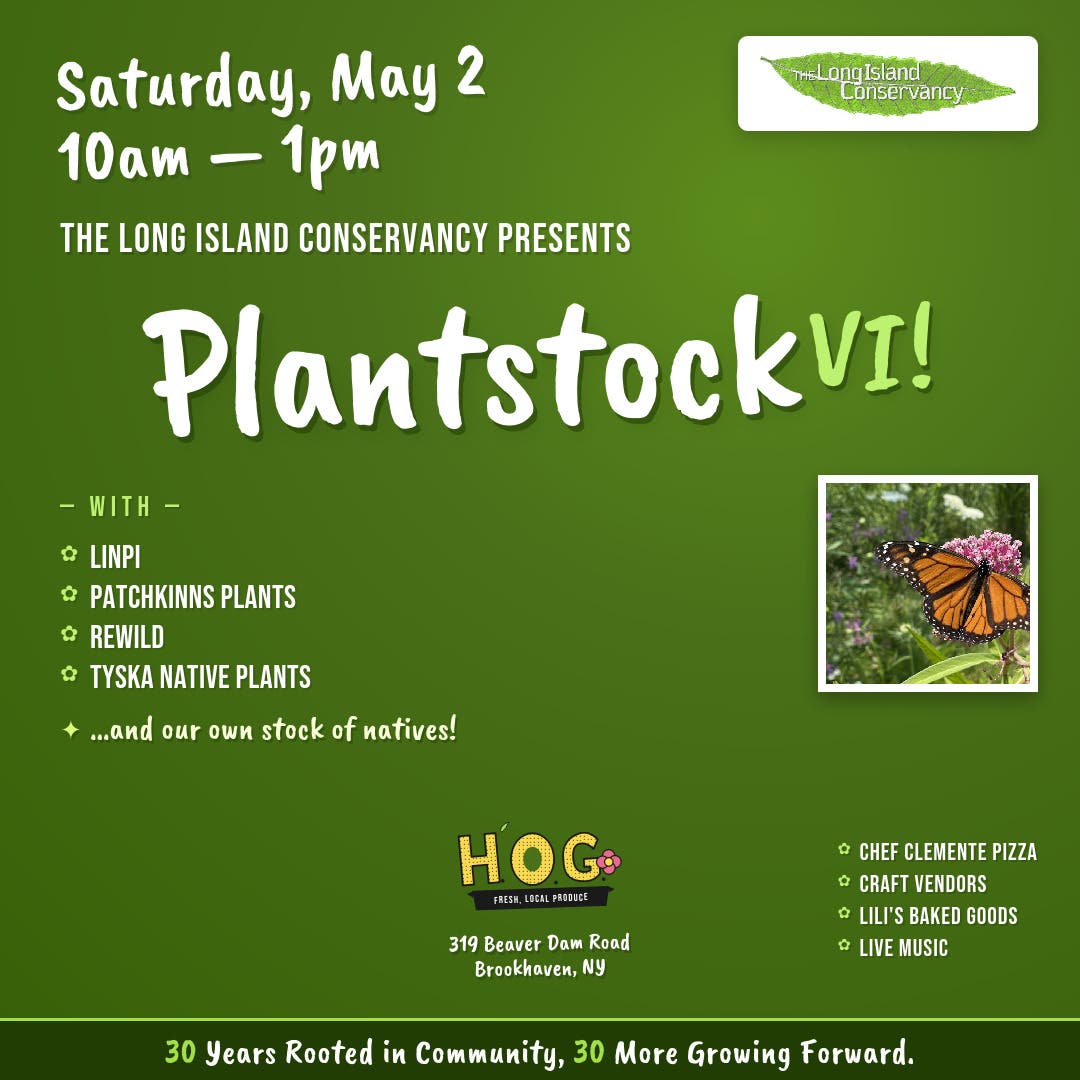 Plantstock VI