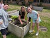 Tremont Elementary School students and teacher Crystal Lepre tend to a garden bed.