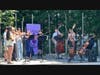 Port Jefferson Middle School Musicians Shine at String Chamber Music ...