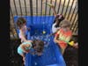 The Port Washington Children’s Center (PWCC) is enjoying an exciting Early Childhood Summer Program filled with exploration, creativity, and opportunities for children to learn through play.
