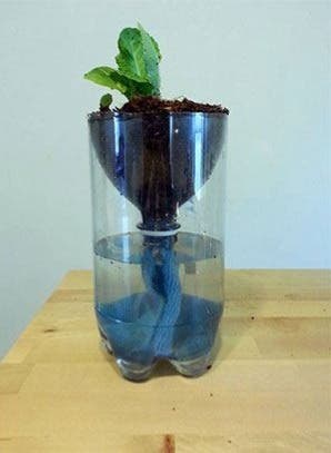 DIY Hydroponic Planter Kit