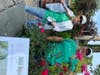 Nancy Comer, Baxter's Pond Foundation President, and Holly Byrne begin the summer clean up event by pruning roses at Baxter's Pond.