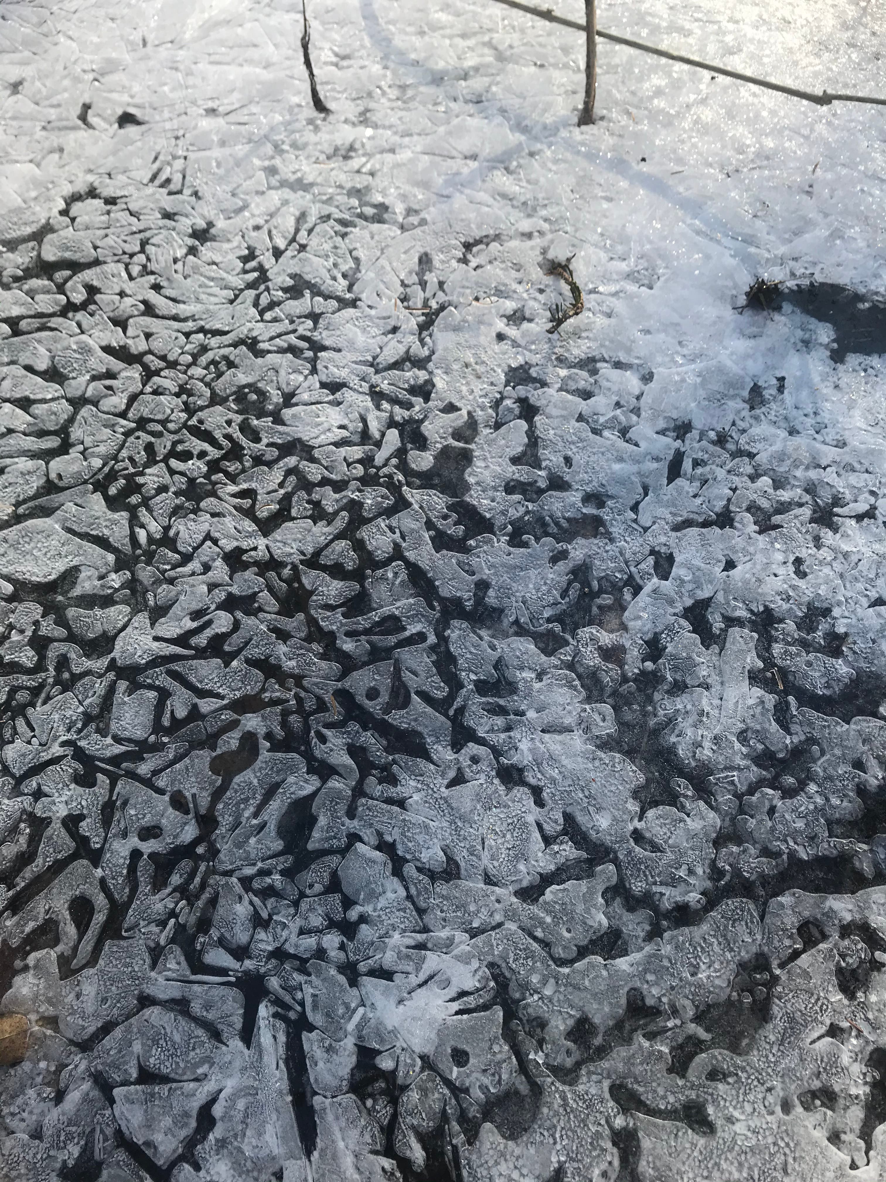 Ice photographed by Ulrike Guthrie