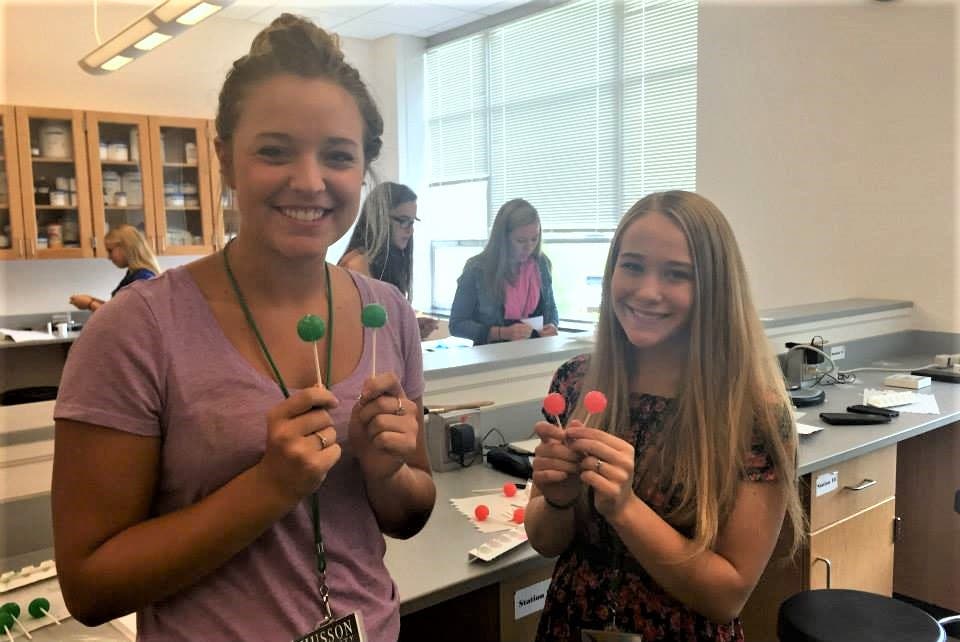 Holding Lollipops Holding Lollipops
