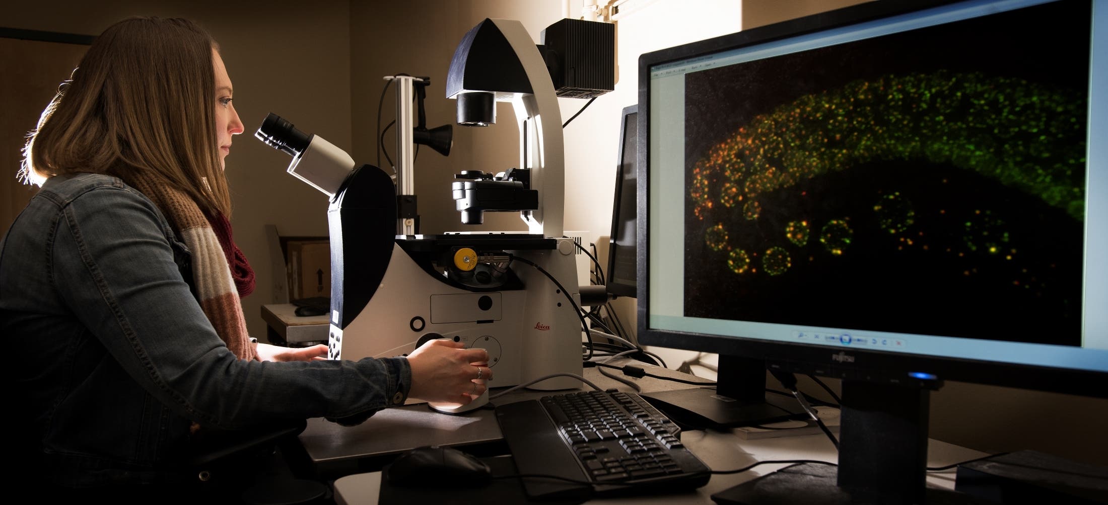 Marnik and Microscope Marnik and Microscope