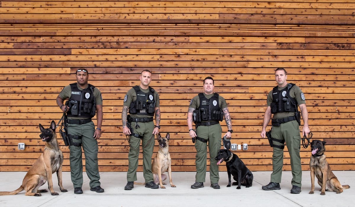 https://patch.com/img/cdn20/users/2213323/20171206/125156/styles/raw/public/processed_images/k9s-1512582569-132.jpg