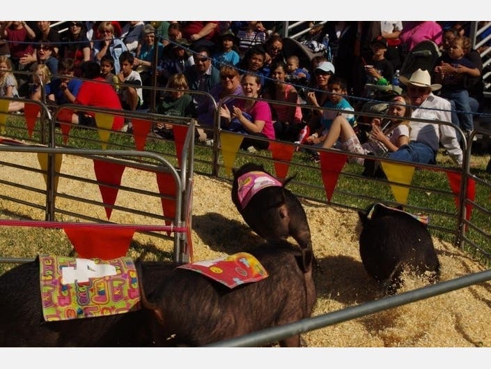 The San Mateo County Event Center and Fairgrounds will be used for its emergency response to the COVID-19 outbreak for at least 90 days, fair organizers said.