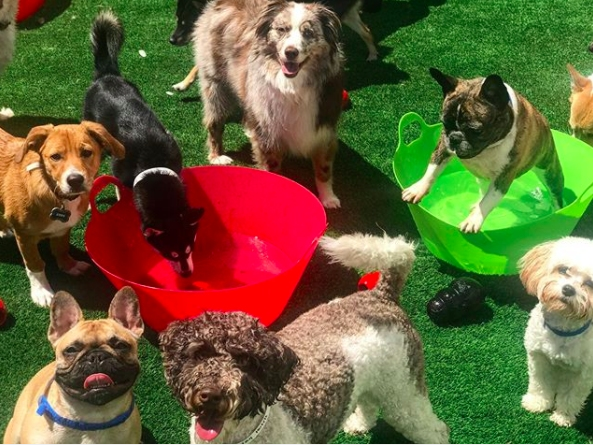 The hotel decided to offer the discount after receiving an influx of inquiries from first responders as the pandemic grew.