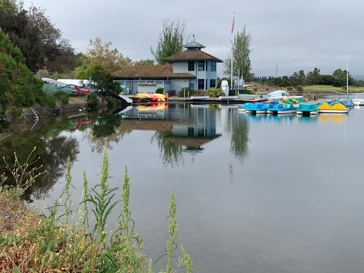 Talmy Rauch captured this stunning image of the boathouse’s reflection off the water at Shoreline Lake in Mountain View.