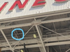 Location of the peregrine falcon nest built inside a United Airlines hangar at San Francisco International Airport.