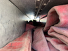 The kittens were living in the hose compartment of a fire engine truck at the San Mateo Consolidated Fire Department’s training facility in Foster City, 
