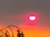 Pink, orange and yellow colors are seen too as the sun punches through the smoky skies.