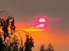 Pink, orange and yellow colors are seen too as the sun punches through the smoky skies.