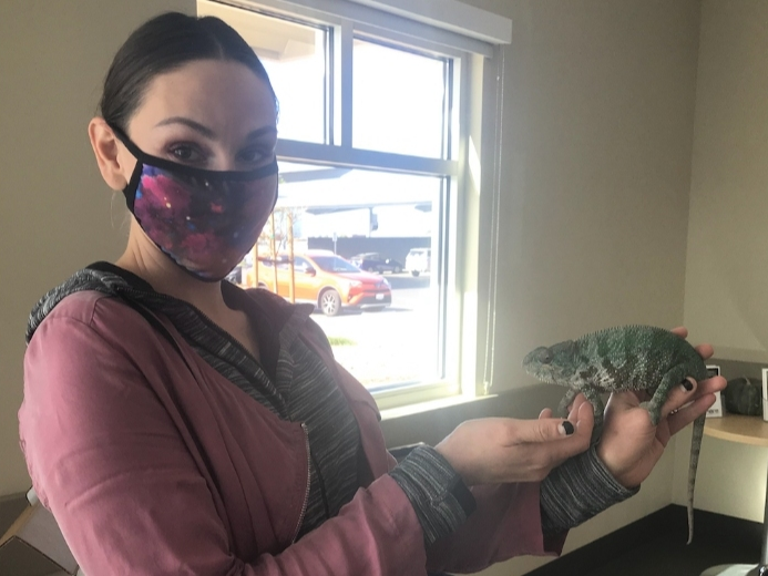 The Daly City resident who breeds chameleons in greenhouse in her backyard had searched exhaustively for the missing animal, posting signs in her neighborhood. Meraxes was found a few doors down from her Peninsula home.