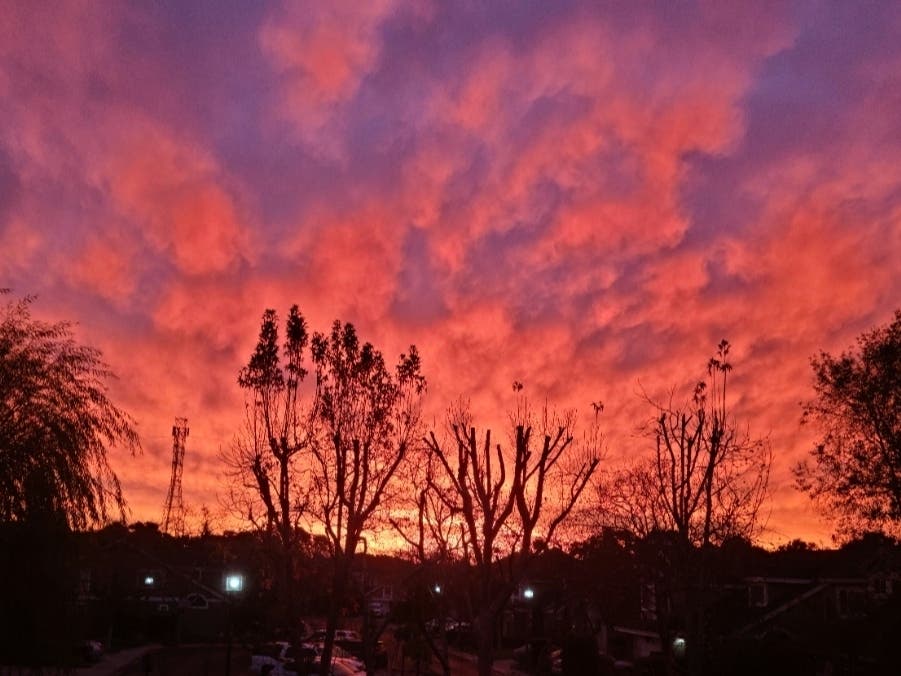  Patch reader Rick Holbrook captured this colorful sunrise photo over Foster City on Christmas morning. 