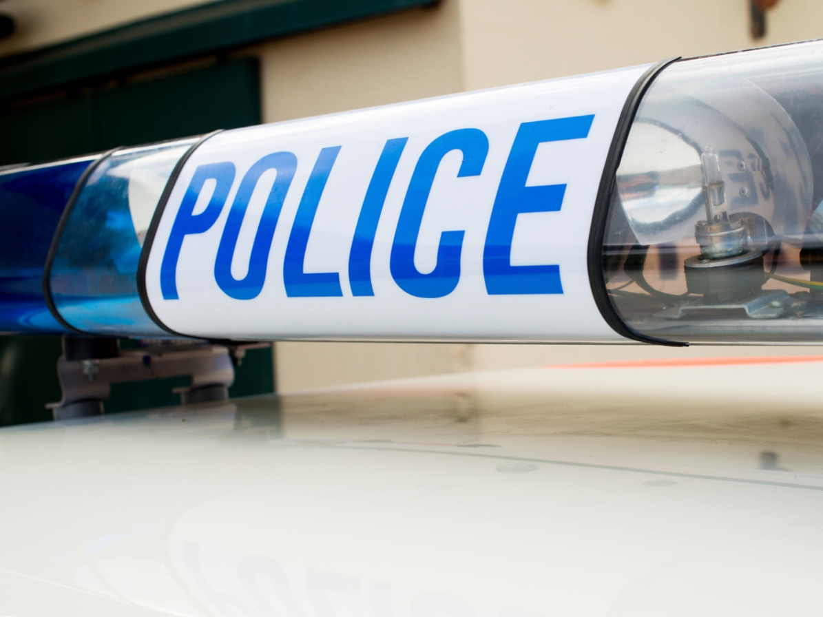 Peninsula French Bulldog Puppy Robbery Suspects Arrested San Mateo