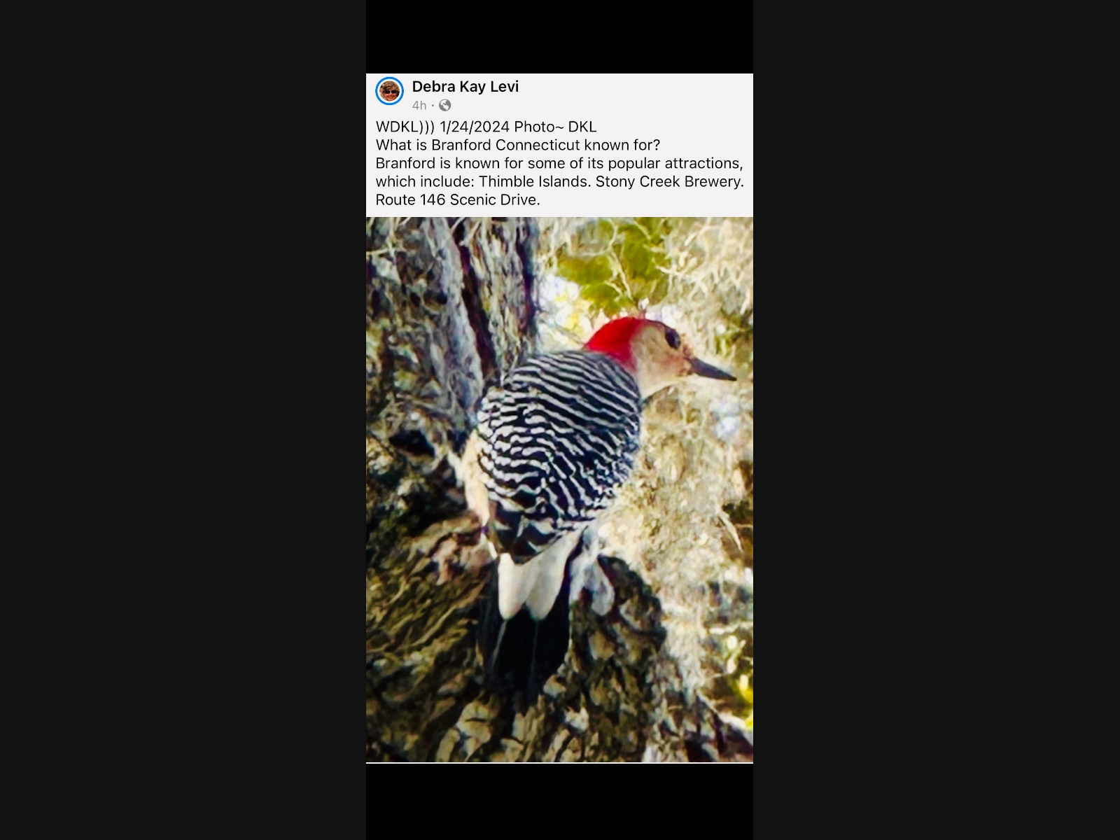 News small post card thumbnail