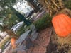 Outdoor Eating at Caputo