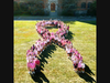 In honor of Breast Cancer Awareness Month, the entire school recently wore pink and gathered for a photo in the shape of the breast cancer pink ribbon.