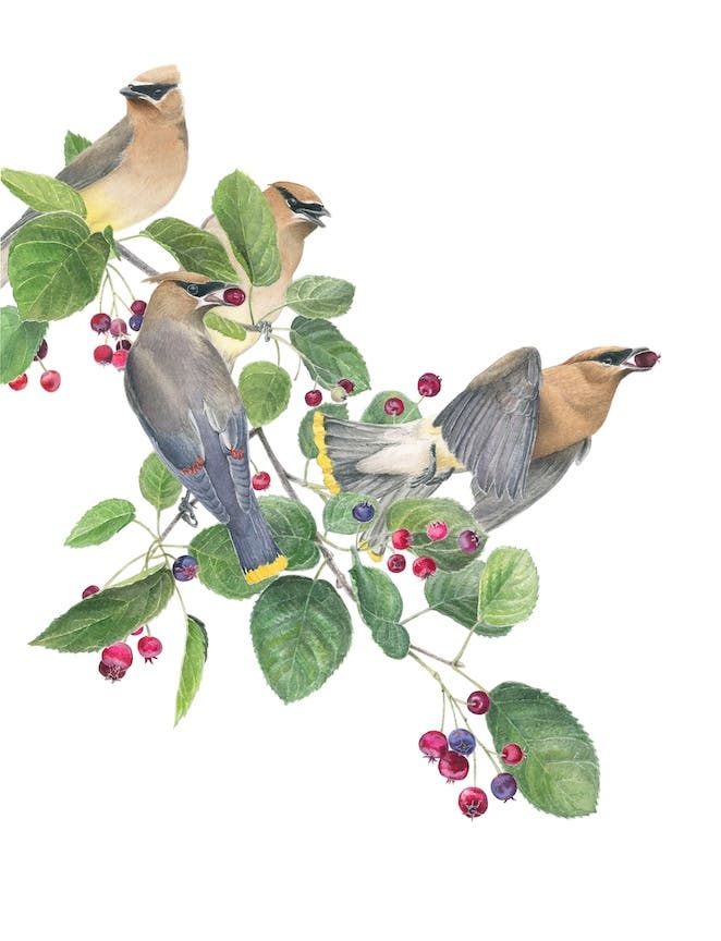 Somers Library Artist of the Month Reception – Charlotte Holden