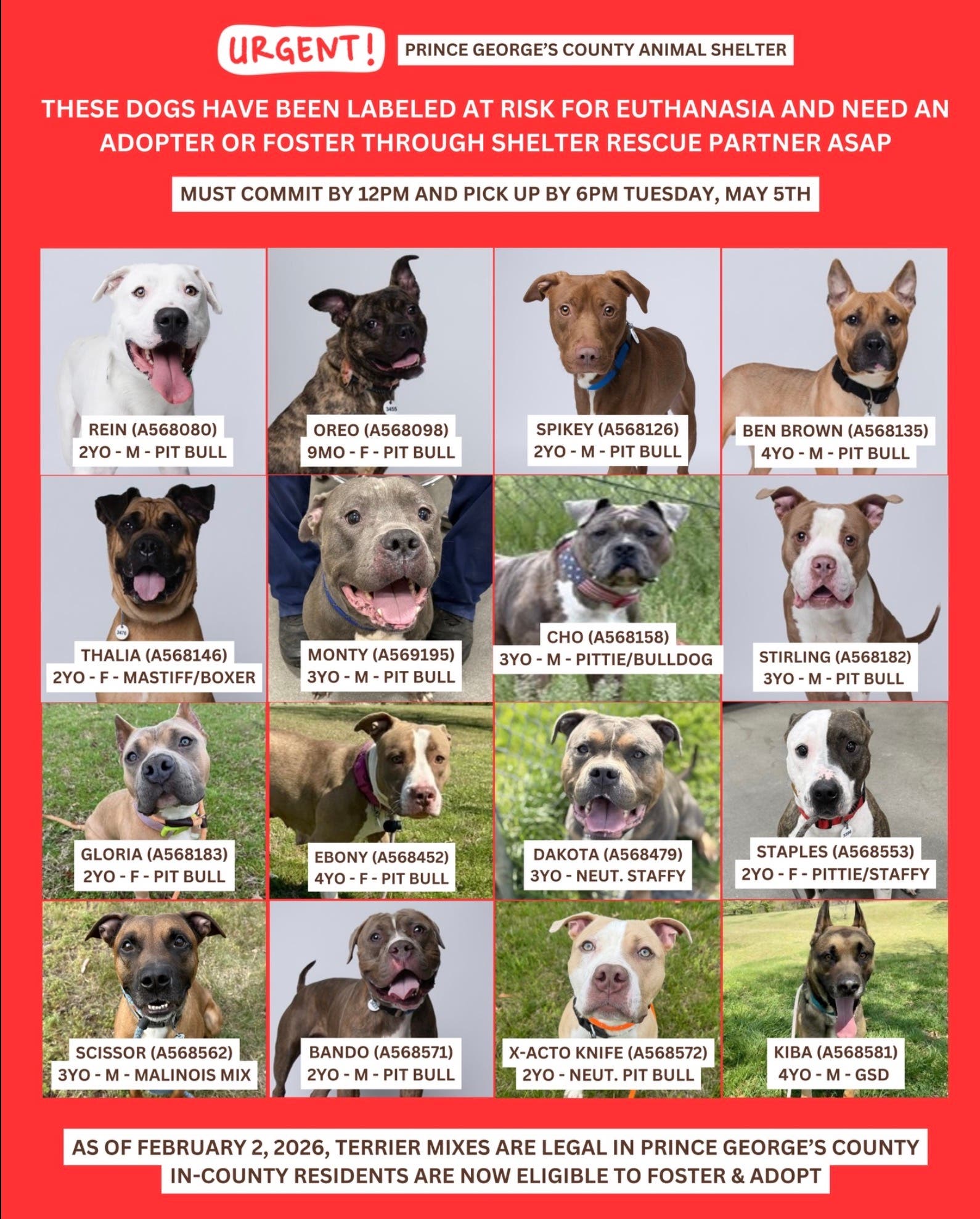 Adopt and Foster Urgent Dogs - Saturday (10AM - 4PM; Arrive by 3pm)
