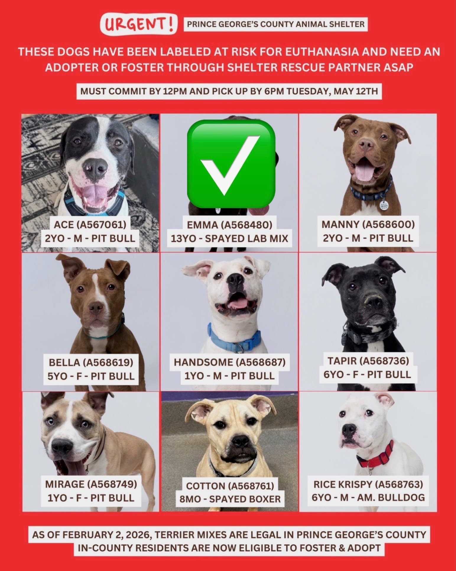 Adopt and Foster Urgent Dogs - Fees Sponsored - Saturday (10AM - 4PM; Arrive by 3pm)