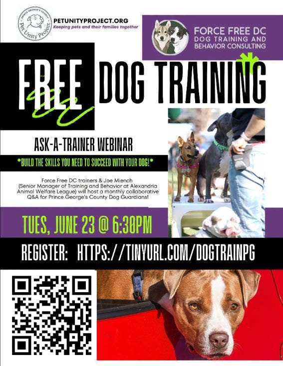 Register in Advance for FREE Online Dog -Training Class for Dog Guardians of PG County