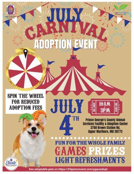 Carnival Adoption Event - Adopt Dogs and Cats - Reduced Fees (10AM - 3PM, Arrive by 3PM)