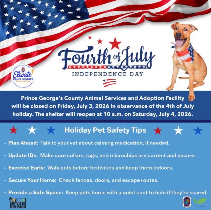 July 4th Holiday Pet Safety Tips