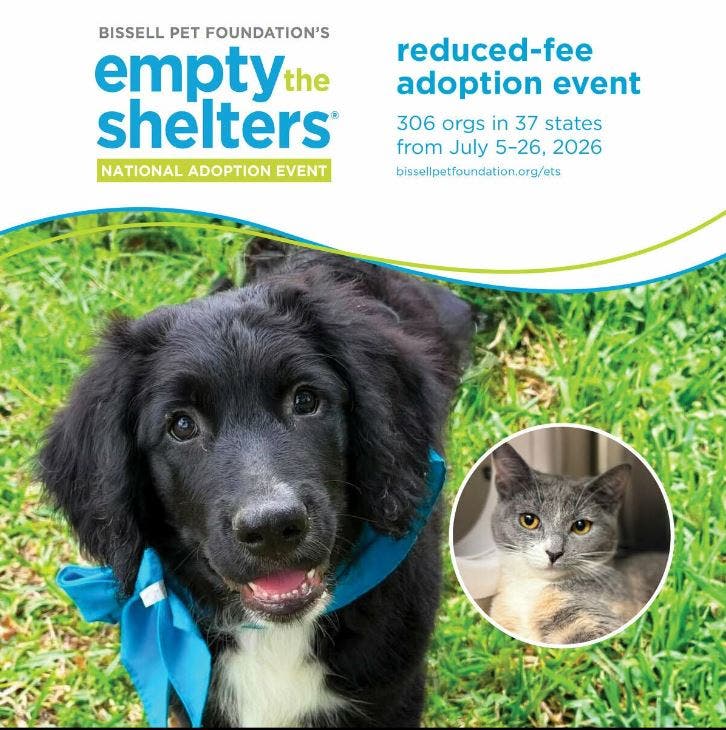 Empty the Shelter: Reduced-Fee Adoption Event at PG County Animal Shelter July 7 - 18