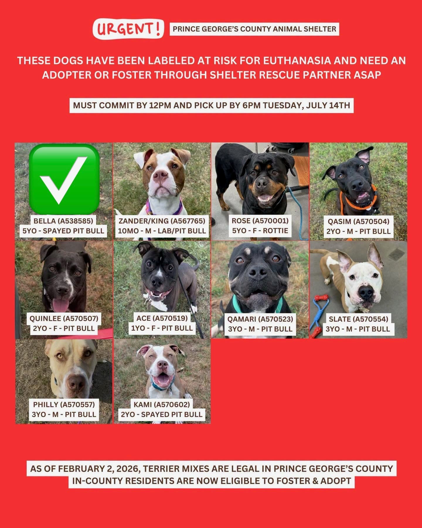 Adopt and Foster Urgent Dogs - Reduced Adoption Fee - Saturday (10AM - 4PM; Arrive by 3pm)