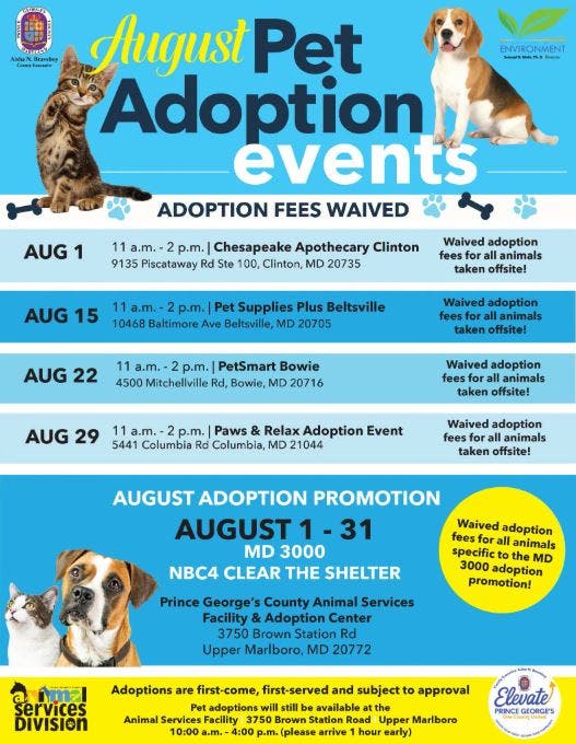 August Pet Adoption Events with Fees Waived - PG County Shelter - Maryland 3000