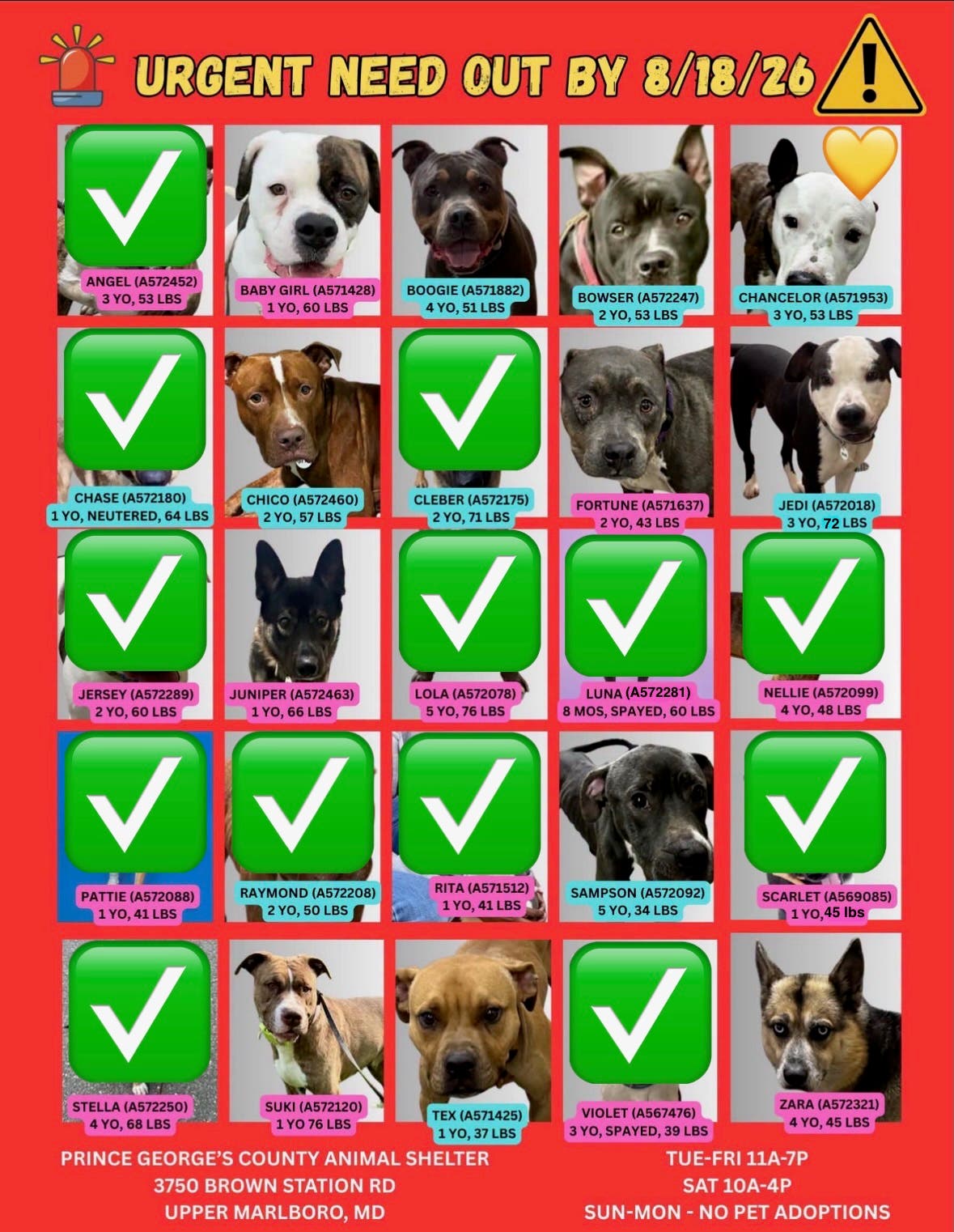 Adopt Pets for Free - Adopt & Foster Dogs on Urgent List (11AM - 7PM, Arrive by 5:30PM)
