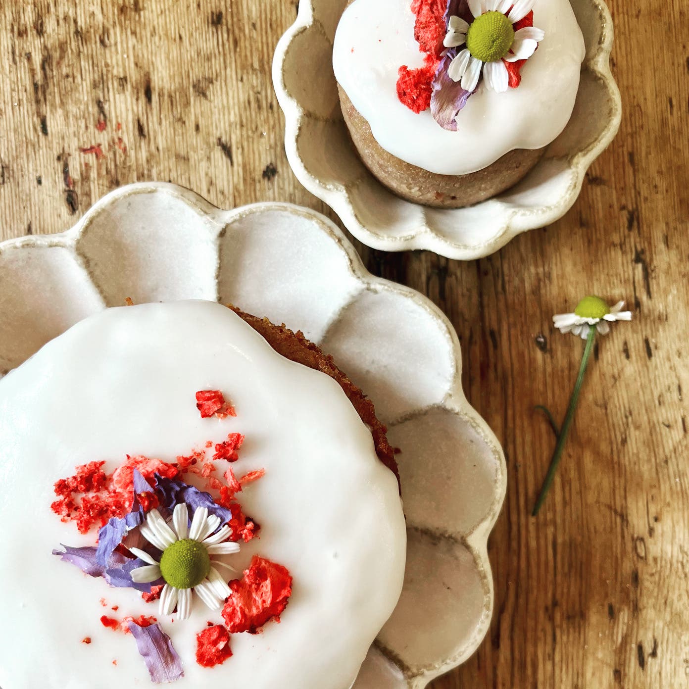 This week at Piermont Farmers Market