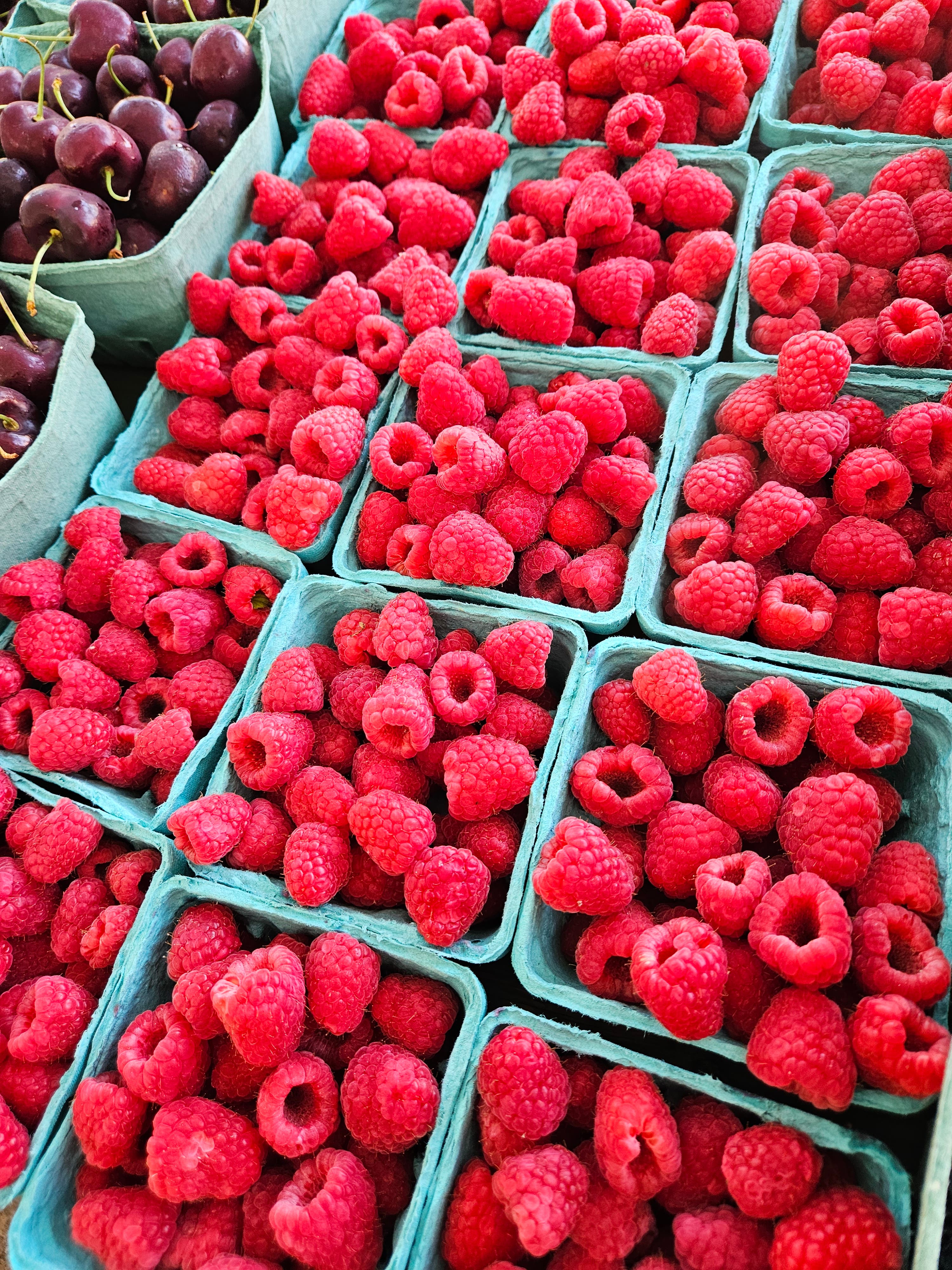 Piermont Farmers Market