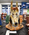 Student art on display at Montville Twp. HS on Wed, Apr. 10. MUDD 2018 3rd Place winner Kevin Kahwaty for "ANUBIS."