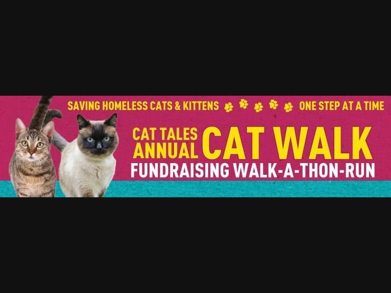 Annual Cat Walk