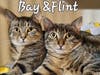 Bay & Flint